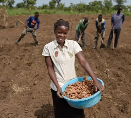 IA.StellaAluko.SelfHelpAfrica1-scaled-877x585